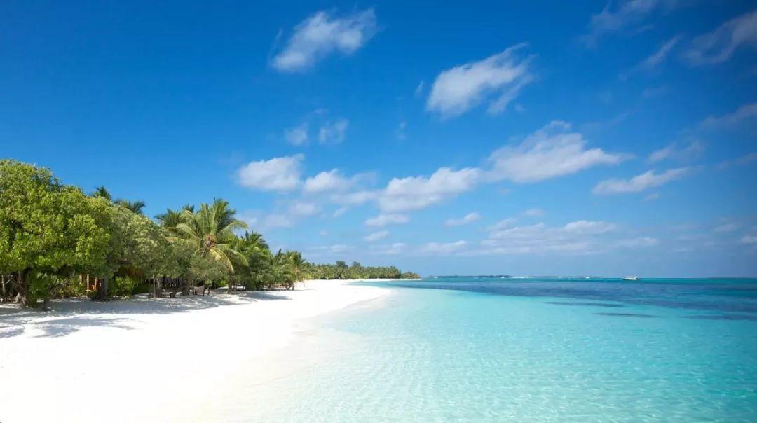 新品|粉红骄人，2019年2月1日开业，马尔代夫丽世北马累环礁岛 Lux* North Male Atoll Maldives