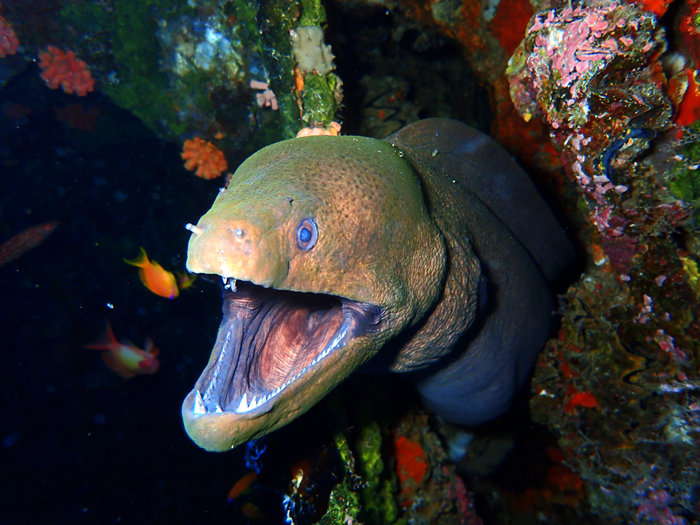 【游记】匆匆,沉醉与镌刻于心,第三度马代之行(4)