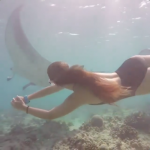 【视频】在马尔代夫悦椿依葫芦岛跟大魔鬼鱼浮潜是一种什么体验？